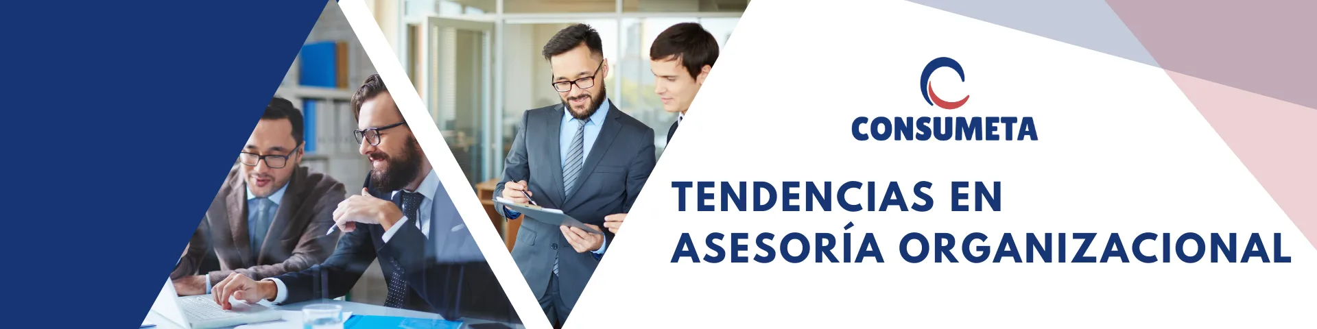 TENDENCIAS EN ASESORÍA ORGANIZACIONAL